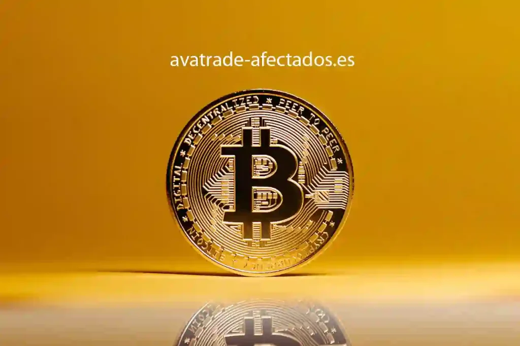 Ava Broker Ava Broker